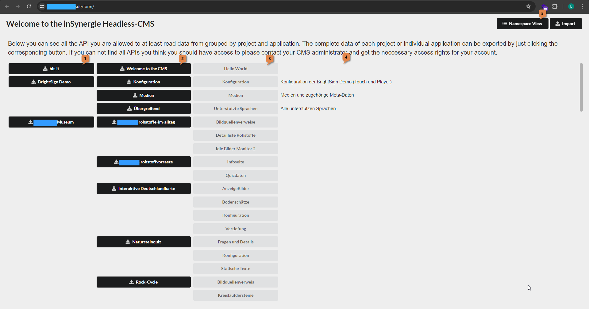 Screenshot Project View im CMS-Frontend